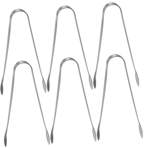Homoyoyo 6pièces Pince à Glace Acier Inoxydable Mini Pince De Service Pour Sucre Desserts Et Apéritifs De Pratiques Pour Tea Party Et Cuisine