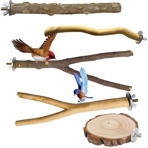 5 Stück Natur Vögel Sitzstangen, Sitzstangen für Vogel, Sittichsitzstange, Holz Vogelstange, Vogelspielzeug, Sittichstange, mehrteilige Stangenplattform, Vogelkäfigständer