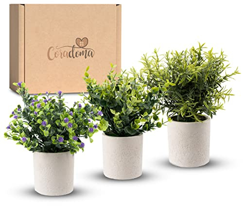 Coradoma Künstliche Pflanzen 3er Set Dekoration Kunstpflanzen im weißen Topf | Wohnzimmer Deko modern Küchendeko | Kunstblume Sukkulente Fensterbank Schreibtisch Wanddeko Büro Schlafzimmer