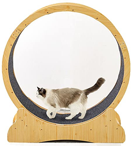 ROGHA Katzenlaufrad Katzenlaufband mit No-Gap-Design, Laufrad für Wohnungskatzen, Sicherheits-Klemmschutz Leises Katzenlaufrad - Gerät zum Abnehmen für Katzen,M