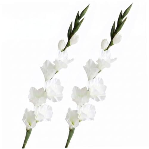 Bemonew Faux Flowers Indoor, 2pcs Decor White Gladiolus, 33in