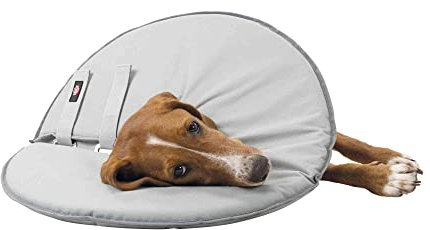 Trixie 19427 Schutzkragen, XL: 60–64 cm/29 cm, grau