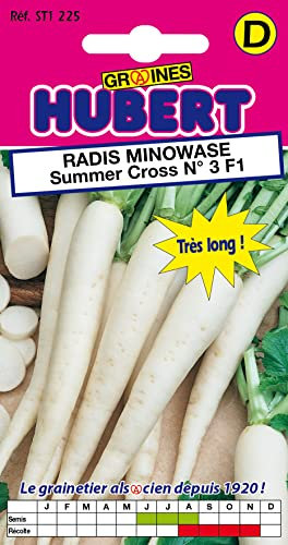 Graines de Radis Minowase Summer Cross N°3 F1-3 grammes