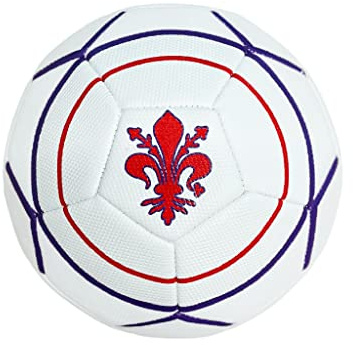 BLU RITMO Fotboll för vuxna barn och pojkar. Stor fotbollsboll för spel och träningspass. Röd Vit Lila Ballong Med Anti-Breaking Mesh Storlek 5 (Lilja) för träningspass