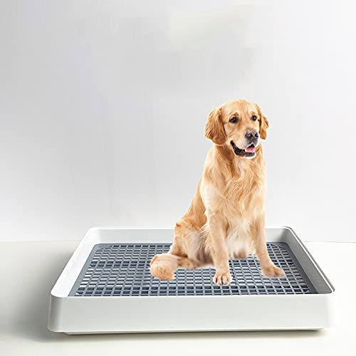TRGCJGH Hundetoilette Kleiner Hund Mittlerer Hund Großer Hund Haustier Hundetoilette Hundetöpfchen-Urinal