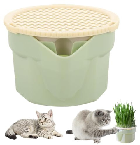 Katzengras -Pflanzer 3,5 Zoll Kunststoffhydroponic Cat Grass Cup Box Leicht zu züchtungsfreier wiederverwendbarer Weizengras Wachstumskit -Sprouter für Innenkatzen, Katzengrasbecher, Katzengras -Pfla