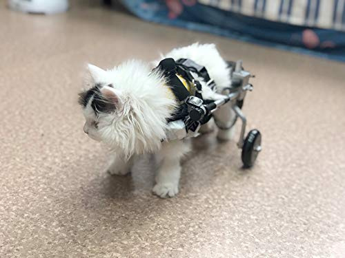 Cora Pet Rollstuhl Fahrradanhänger Hunderollstuhl für Kleiner Hund Katze Kaninchen Hinterbein/Hintere Füße, Hunderollwagen Gehhilfe Hundegehilfe, Wagen für Haustier