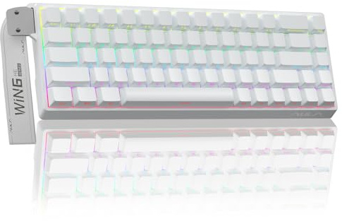 AULA WIN68HE Rapid Trigger Gaming Tastatur mit Kabel,Hall Effect Magnetic Switches,0,02mm RT-Genauigkeit,Einstellbare Betätigung,8000Hz,RGB,60% Mechanische Tastatur