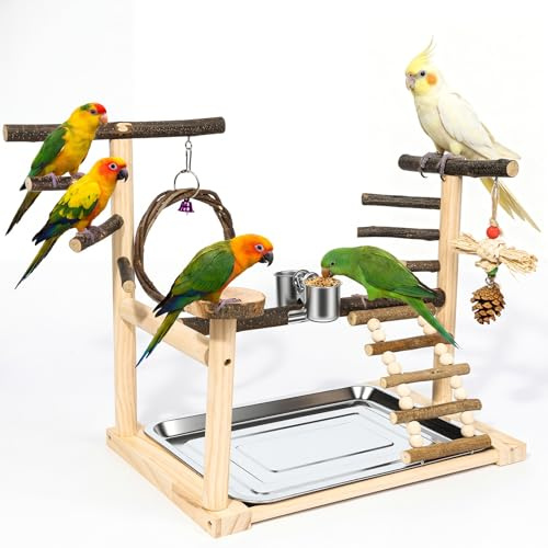 Kaliswell Bird Playground Wooden Parrot Stand for Small to Medium Birds | Feeding Cup, Apple Branch Swing, Chew Toys, Removable Tray, Ideal for Budgerigars, Parakeets, Cockatiels