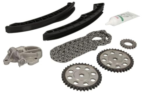 INA 559 0199 30 Kit catena distribuzione Kit catena di distribuzione Kit catena