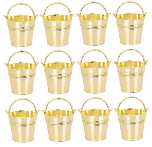 PRETYZOOM 12St hochzeitsdeko Schreibtisch kleiner Eimer Mini-Blumentöpfe das Geschenk Dekor kleine Eimer mit Henkeln Halter für Partygeschenke Persönlichkeit Metallfass Yiwu
