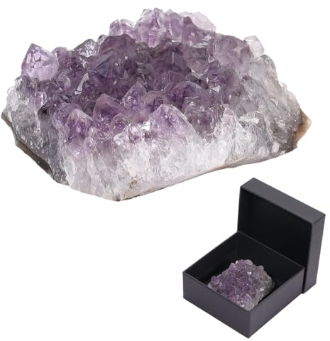 PONABEADIY 1 caja Cluster de cristales de amatista natural Cuarzo púrpura Geoda Piedras en bruto Amathesis Rocas Cristales de energía Rocas Piedras preciosas Adorno para mujeres Hombre Escritorio de o
