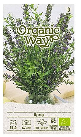 Organic Way | Semillas HEILKRAUT YSOP | especias, plantas medicinales, leñosas | semillas de plantas | semillas de jardín | 1 paquete