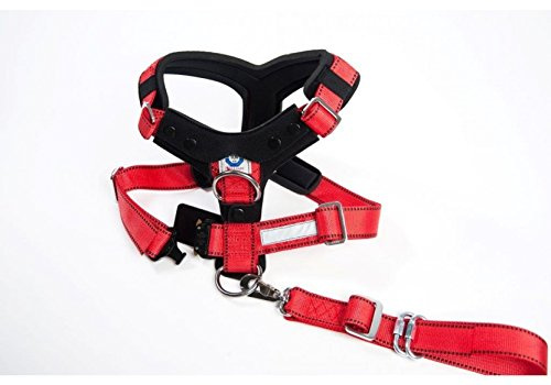 Hundesicherheitsgurte Allsafe ComfortGr. XL