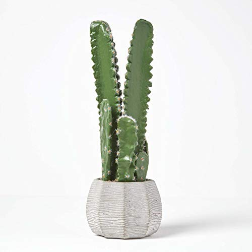 Homescapes Cactus artificial en maceta de cerámica, gran planta suculenta artificial – San Pedro cactus, aprox. 50 cm de alto, decoración para mesa de café, escritorio o ventana