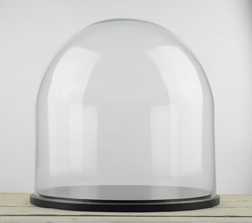 EMH Campana grande in vetro con base in legno nero, 35 x 35,5 cm