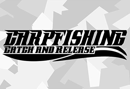 HR-WERBEDESIGN 2X Baits Karpfen Boilie Carp Auto Aufkleber Angeln Köder Fang Rute Fisch Hunter