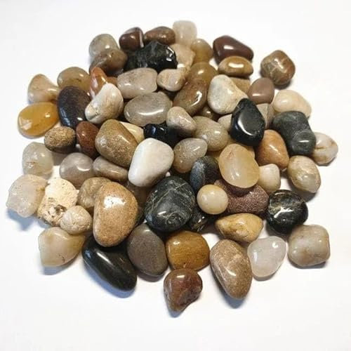 Piedras Super Lisas de Color Negras o variadas, para decoración de jardín, el Interior de la Vivienda, macetas y acuarios o terrarios (1Kg, Super Pulida Surtido Grande)
