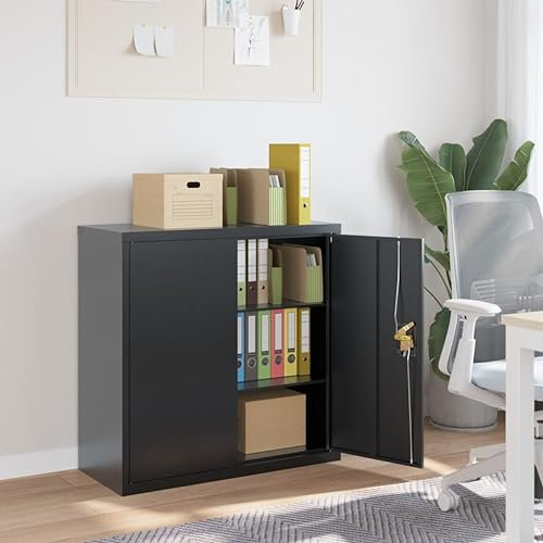 LAPOOH Aktenschrank Anthrazit 90x40x90 cm Stahl, Metallschrank, Werkstattschrank, Werkzeugschrank, Büroschrank, Lagerschrank, Garagenschrank, Stahlschrank