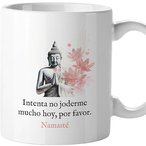 Tazas originales, Taza divertida con frases y mensaje gracioso, Detalles para compañeras de trabajo, Amigo invisible, Funny mug, Cerámica 330 mL (Namasté)