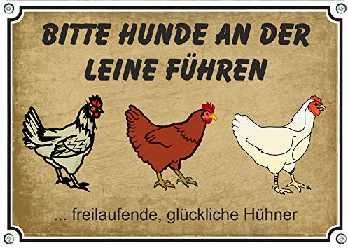Petsigns Hinweisschild freilaufende Hühner Vintage - hochwertiges Metallschild - Hunde anleinen, DIN A4