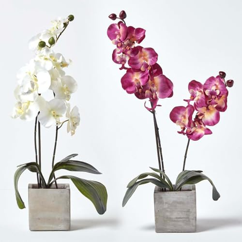 HOMESCAPES Set of 2 Burgundy & Cream Artificial Orchids in Grey Stone Pot 57 cm Tall Faux Plants with Lifelike Leaves & Petals