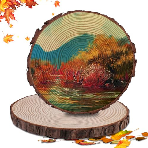 2 Stücke Holzscheiben, GOMETY Baumscheiben Rund zum Basteln, 28-30CM Durchmesser Runde Holzscheibe Untersetzer Holz Log Kiefernholz für DIY Handwerk Tortenplatte Ohne Loch große holzplättchen