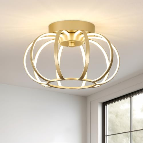 WOKNOS Metall LED Deckenleuchte,Rund Deckenlampe Gold LED Lampe,4000K Deckenleuchten für Flur Esszimmer Küche Schlafzimmer Wohnzimmer