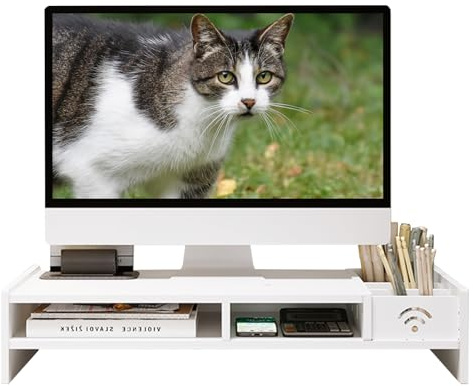 Catekro Monitorständer Kunststoff Monitor Stand Schreibtisch Bildschirmerhöhung Monitorerhöhung für Laptop PC Monitor