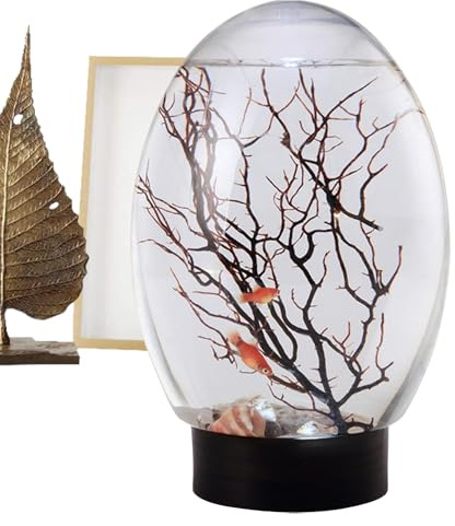Fischschüssel - Klarglas Aquariumschale, Desktop -Fischtank | Dekoratives Heimaquarium, leicht zu reinigen, ideal für Goldfische, Betta -Fische, Wasserpflanzen und kleine aquatische PetSstylis