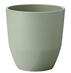 Mepal - Vaso Silueta - Taza de té y café - Apta para lavavajillas y microondas - Vajilla - 200 ml - Nordic sage