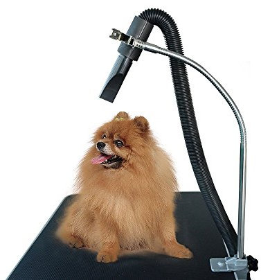 Gravitis Pet Supplies Support robuste pour sèche-cheveux de chien – Support uniquement – Convient pour table de toilettage