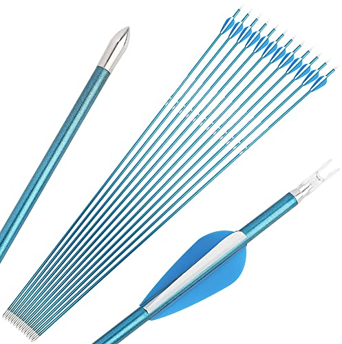 SHARROW Bogenschießen Carbonpfeile 31 Zoll Carbon Pfeile Jagd Ziel Praxis Pfeile Spine 400-1000 Carbon Bolzen Bogenpfeile Jagdpfeile (12, Blau 2, Spine 800)