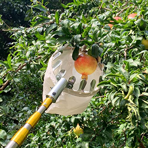 Yesbon Recolector de Frutas, Herramienta Ajustable para recolectar Frutas Herramienta de recolección de Frutas de Acero Inoxidable para recolectar Manzanas, cítricos, Peras,6m/19.7ft