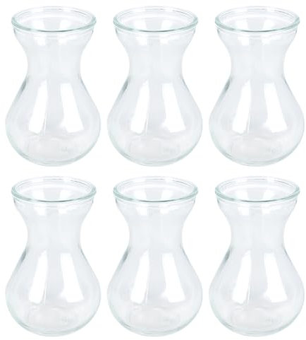 Jarsens - Seis jarrones de cristal transparente, pequeños jarrones hidropónicos, jarrones de jacinto, recipientes de flores para decoración de flores