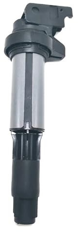 SQIFBA Zündmodul Zündspule 12131712219 Für E46 316i 318i 320i 325xi 328i 330xi E90 2002 2003 2004 2005 2006 2007 2008 Spule Motore Zündspule