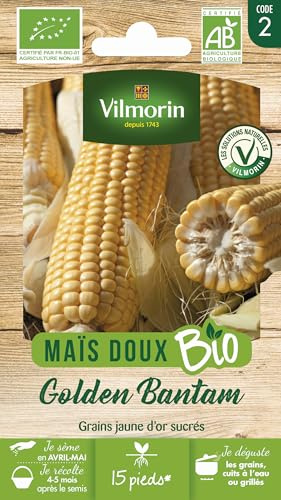 Bolsa de semillas orgánicas Golden Bantam maíz dulce