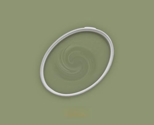 BRICOFLOR Wandfarbe olivgrün für innen in 2,5 und 5 l ideal für Wohnzimmer und Schlafzimmer Moderne Farbe mit Deckkraftklasse 1