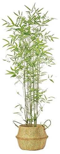 Künstliche Pflanzen Kunstpflanzen 1.8m/5.9ft Künstlicher Bambus 10 Stück künstliche Bambuspflanze im Topf mit gewebtem Korb Planter für Store Patio Restaurant Cafes SpasWohnzimmer ( Size : 1.2m/3.9ft