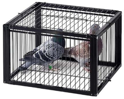 CTREVL Jaula Trampa para Pajaros,Trampa para Pájaros, Jaula Trampa Palomas,Cepos Caza,con diseño a Prueba de Escapes,Diseño de claraboya,Espaciamiento reducido,Cuatro Puertas de Entrada(44x40x26cm)