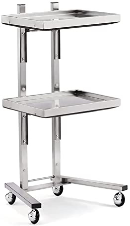 Rollwagen aus Metall mit 2 Ebenen, Edelstahl-Aufbewahrungswagen mit Rädern für Küche, Schlafzimmer, Tattoo-Shop – Utility Tray Ständer für einfache Organisation