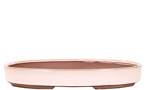Bonsai - Schale, Waldschale, oval 31 x 21 x 4,5 cm cremefarben 51010