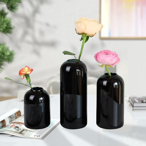 BlogBlog Glaskoppvaser för blommor – små glasvaser för dekoration, storblomvas för vardagsrum matbord bröllopsfest evenemang heminredning blomsterarrangemang (svart, 3 st)