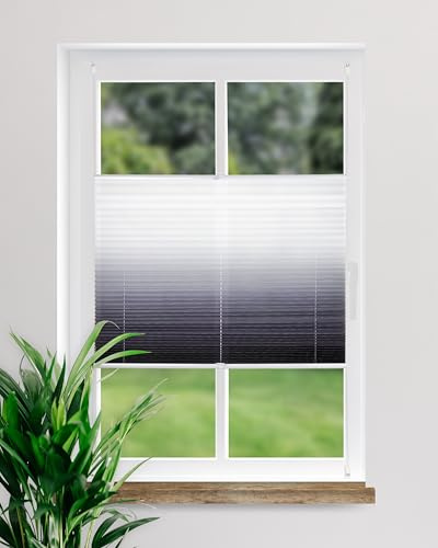 DECOLIA by Garesa Fenster Klemmfix Plissee ohne Bohren 40 x 130 cm Farbverlauf, Anthrazit - Lichtdurchlässiger Fenster Sichtschutz und Fenster Deko, Faltrollo