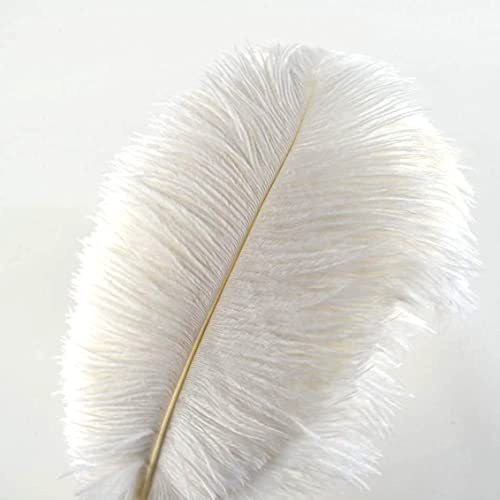 Creny 10Pcs Straußenfedern 16-18Inch (40-45cm) Für Haus Hochzeitsdekoration Bietet(weiß)