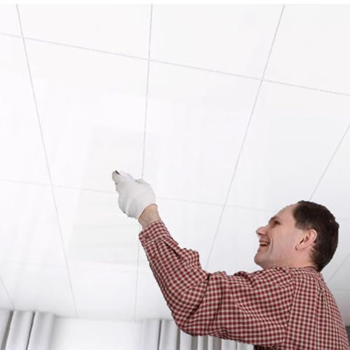 Paneles de Techo autoadhesivos, fáciles de Instalar, Ligeros y Decorativos de PVC para el hogar y la Oficina (1 Unidad)