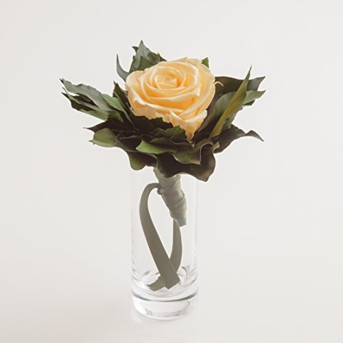 Blumenstrauß langhaltend Ewige Rose konserviert mit Glasvase haltbar 3 Jahre von ROSEMARIE SCHULZ GmbH Heidelberg (Beige)