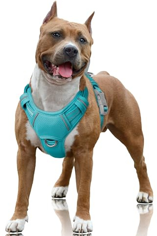BARKBAY Hundegeschirr, kein Ziehen, reflektierend, mit Frontclip und Griff zur einfachen Kontrolle für Spaziergänge, Training, Laufen, mit ID-Tag-Tasche (Ozeanblau, Größe L)