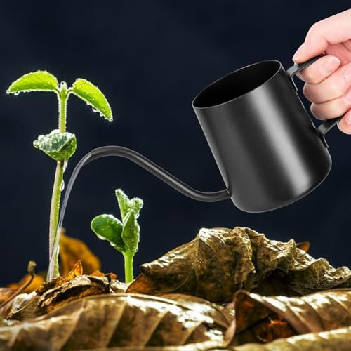 YHNDECO 350 ml Black Watering Can, Small Indoor Plants, Mini Watering Can, Stainless Steel Long Spout Watering Can, Garden Watering Can for Indoor Plants, Succulents