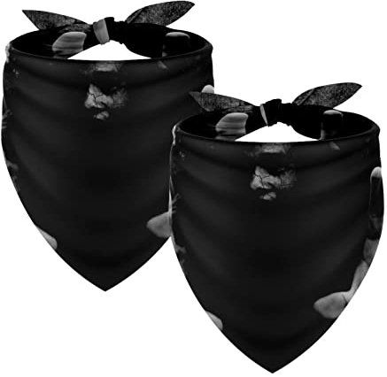 Hundehalstücher 2 Stück, Halloween Horror Man Haustier Schal, Chiffon Bandanas Dreieck Lätzchen Zubehör für kleine, mittelgroße und große Hunde Welpen Haustiere